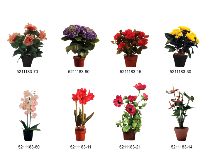Auswahl Blumen.png